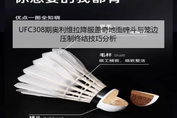 qi-ao-li-wei-la-xiang-fu-gai-qi-di-mian-chan-dou-yu-long-bian-ya-zhi-zhong-jie-ji-qiao-fen-xi-2-733.jpg